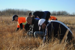 Evidence search training